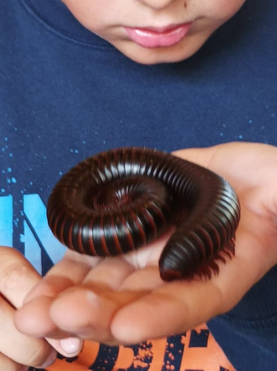 robaki na dłoni dziecka